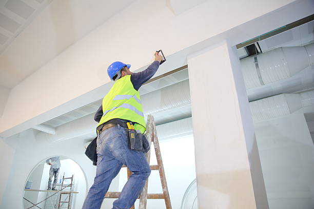 Best Drywall Sanding and Smoothing  in Rushville, NE